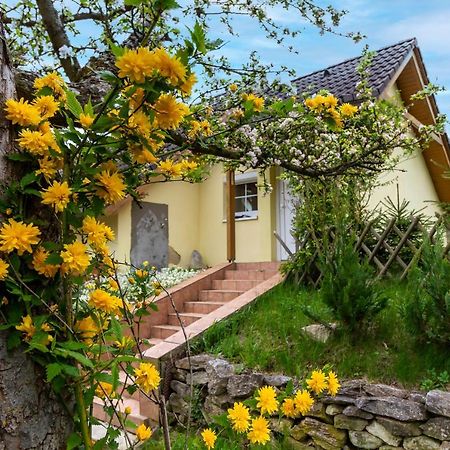 Apartmanovy Dum Vilémovice Exteriör bild