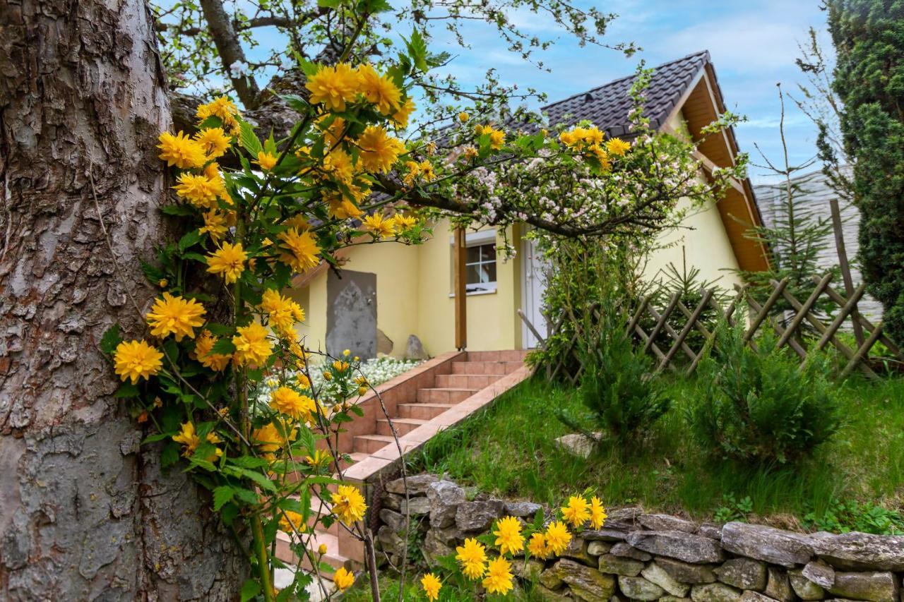 Apartmanovy Dum Vilémovice Exteriör bild